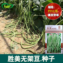 胜美无架豆角种子 农田菜园长豆角豇豆蔬菜籽