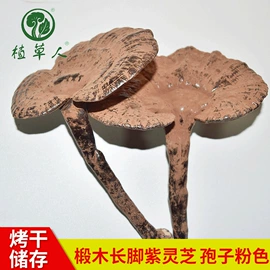 灵芝;库存农产品;藏红花