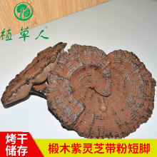 �羳���Q�ľ���`֥���`֥ ɫ��M���۶��_�`֥ �̱�������ș