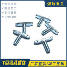 供应非标螺丝T型锁紧螺丝一字槽螺栓家电配件五金件厂家加工批发