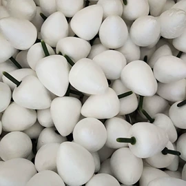 香皂花;鲜花花艺制品;仿真绿植