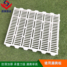 潍坊漏粪板厂家塑料漏粪地板鸡鸭鹅塑料漏粪板羊床猪仔养殖接粪板