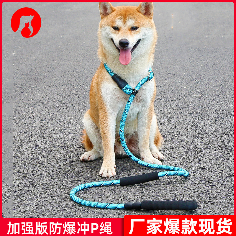 Cadena de perro integrado ajustable a prueba de explosiones reflexivo perro caminando artefacto P cadena cuerda de tracción mascota P cuerda pequeña y mediana