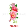 TBX-9031
