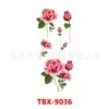 TBX-9036