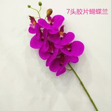 仿真蝴蝶兰 7头胶片兰花 酒店装饰手感假花欧式家居装潢