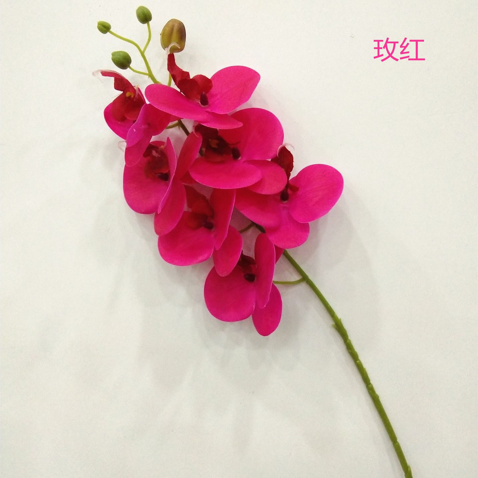 로즈 레드