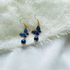 Fashionable blue fresh earrings, cute accessory, Korean style