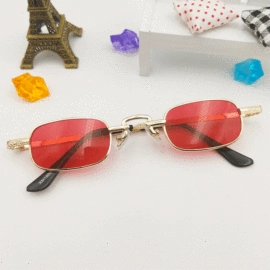 太阳镜;框架眼镜;老花镜