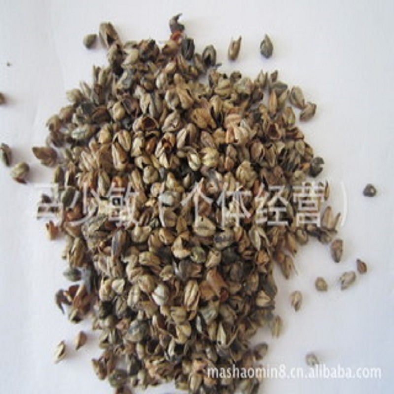 苦荞麦壳批发地摊展会用散装枕芯坐垫填充料枕头荞麦皮荞麦枕芯