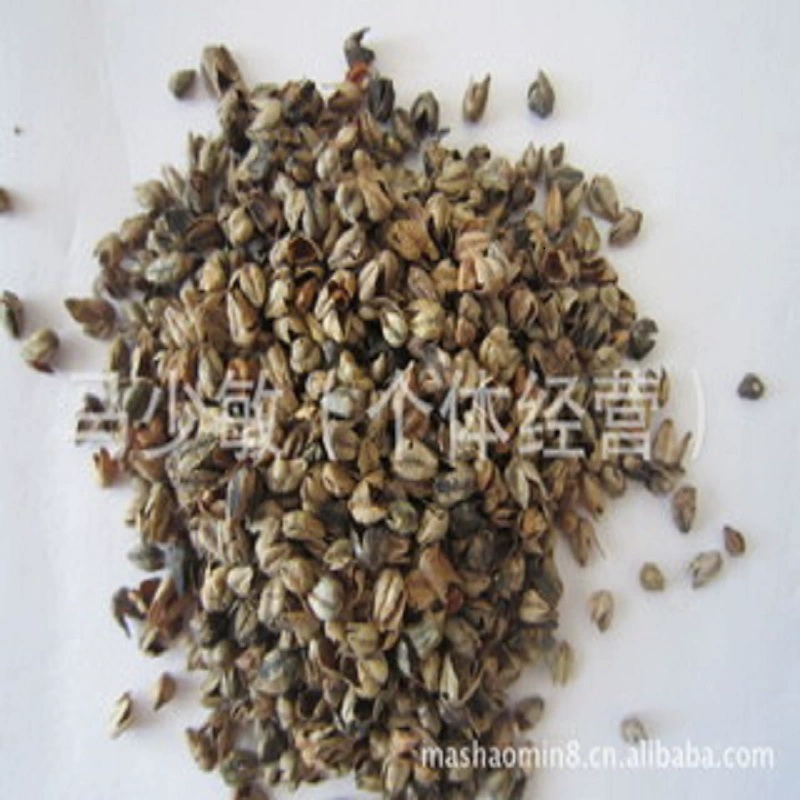 Оптовые продажи гречихи для уличных киосков и выставок, наполнители для подушек оптом, наполнители для диванов, гречиха для подушек, наполнители для подушек из гречихи.