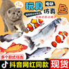 Realistic electric cute toy, carp, pet, internet celebrity