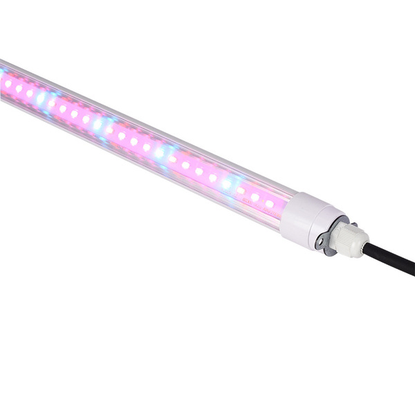 LED plant lamp