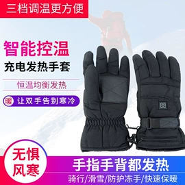 滑雪手套;电热片;骑行手套