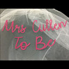 Single party European and American bride married personalized veil double -layer MRS to be/ future mRS veil