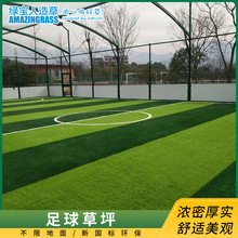 ƺϼٲƤݱϩϼٲƺСΆνz