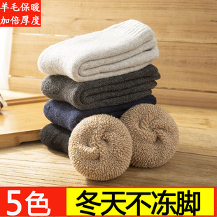 ������ë�m�������m�Ӻ��m���Ж|���ӽq��Ͳ�më�q�ɿ��m�S�����l