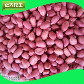 生花生;花生