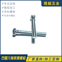 厂家专业生产紧固件长头螺丝 六角凹圆六角家具螺栓加工可定批发