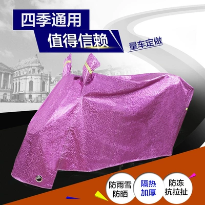 Car clothing, Motuoche Electric Car