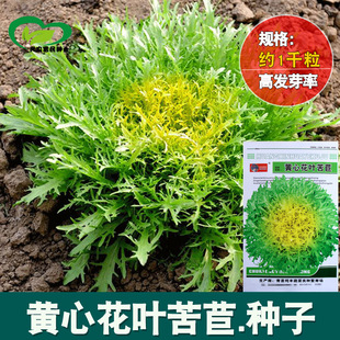 �S�Ļ��~���ķN�ӿ��ţ�̲� �����߲�ɳ�� �ļ����߲˷N�����l