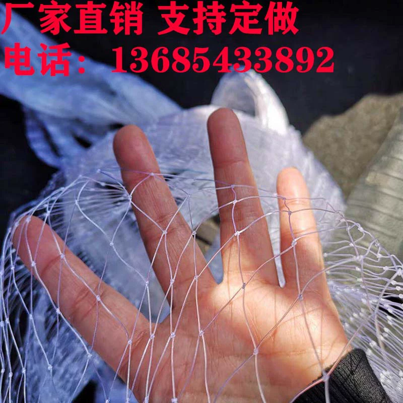 Виноградная сетка Wolfberry Виноград Фруктовое дерево Садовая сетка Скайнет Защита от гольца Рыбный пруд Нейлоновая сетка Размножающая сеть