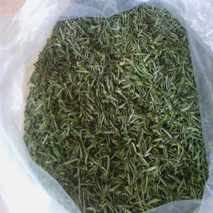 �S�����lС�������ȸ��ѩѿ���վG�� ɢ��  2026���²� �F؛