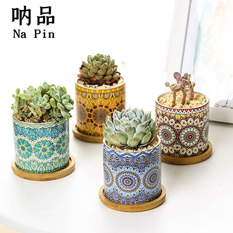 Napin Export Керамический мясистый цветочный горшок в скандинавском стиле Мандрагора Цветочный горшок Домашнее растение Горшечное растение