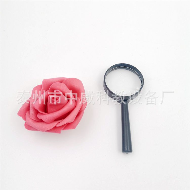 放大镜  手提式5X 直径40mm 小学科学 读书看报工具批发 教学仪器