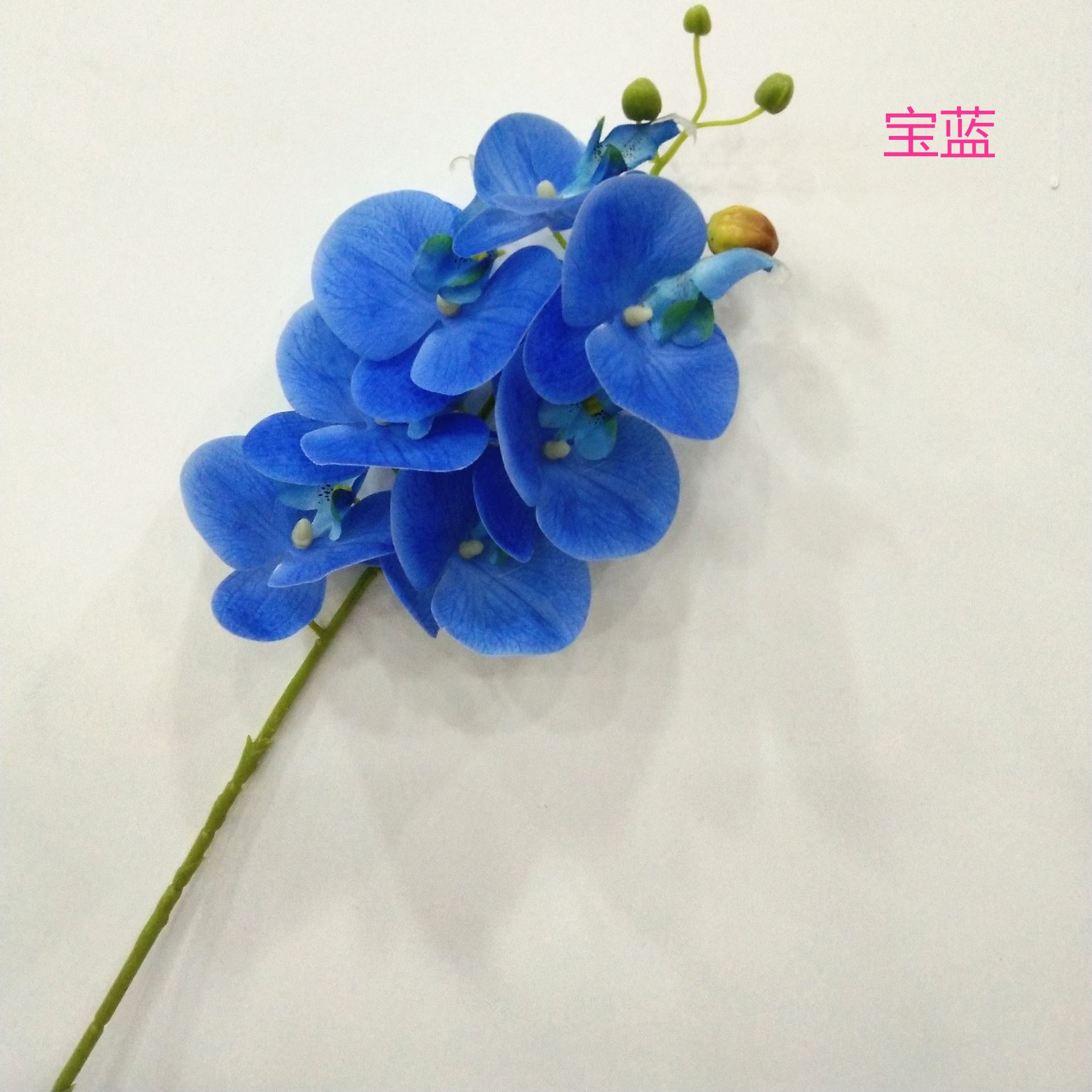 블루