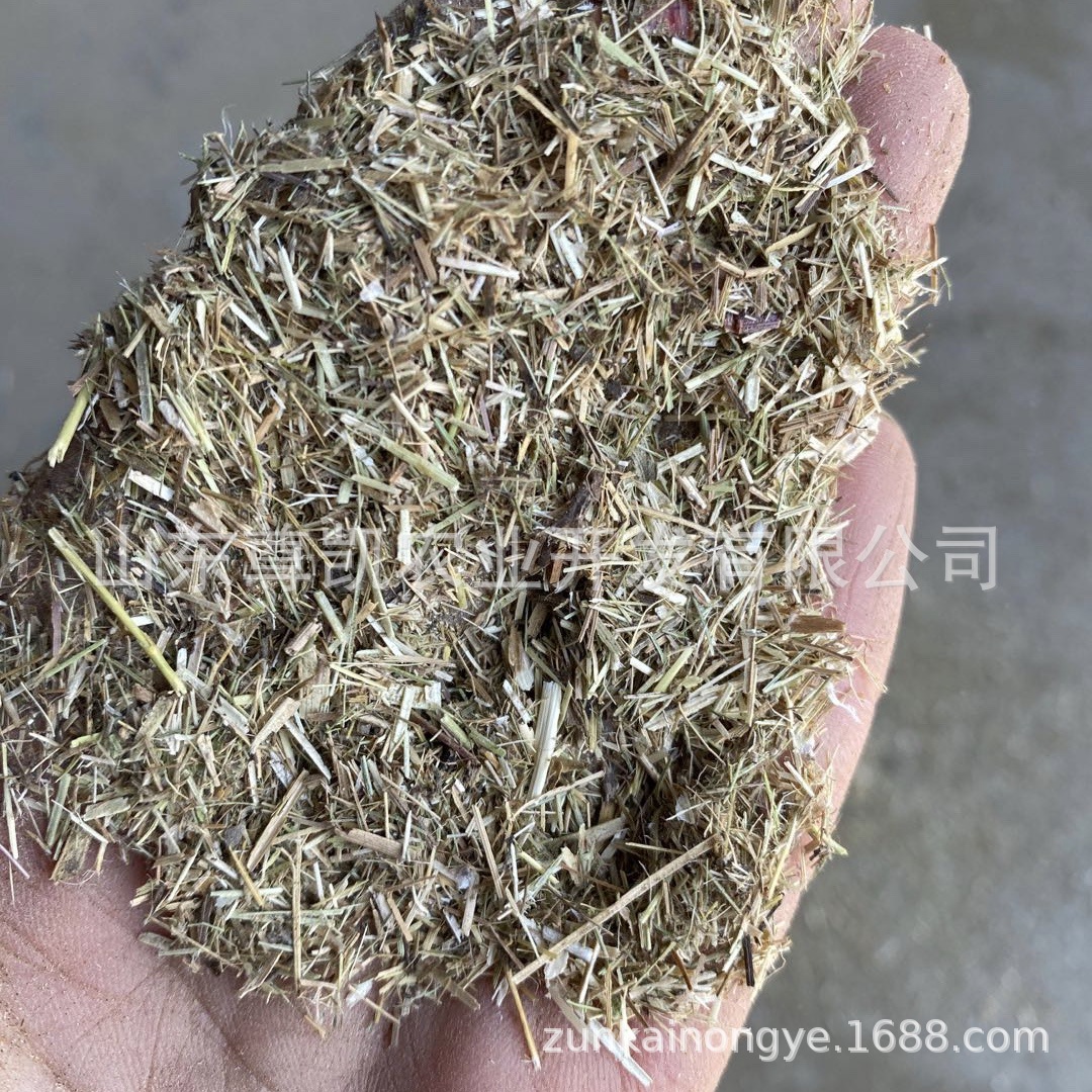新碱草粉 羊草粉牛马羊动物饲料 牧草饲料原料另有苜蓿草粉青草粉