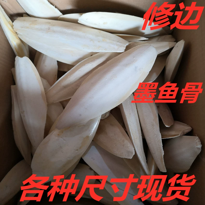 Обрезка костей каракатицы, различные размеры домашних животных, моляров, попугаев, хомяков, подъем корм для домашних животных, жевательных игрушек, медуз