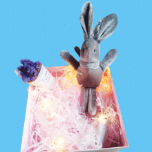 �ؔ��M؛�S���ë�q��� �Y�п��n���q�S��ù����������������