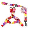 Pet supplies manufacturers are direct for pet traction rope small dog teddy medium large dog walking dog rope dog chain collar