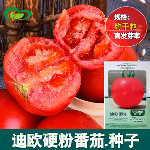 ���m�ϚWӲ�� ���ѷN�����t���N�����l ����ˮ �߲˷N��