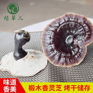 ���R�d�ľ���`֥500g���`֥�o�۰׵����`֥�б�����֥�a����֥