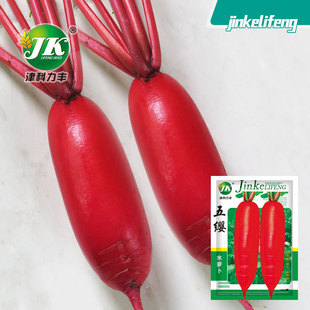 ˮ�}���N��С�ͼtƤ�����ļ�����������@�߲˷N�������׷N���ѷN