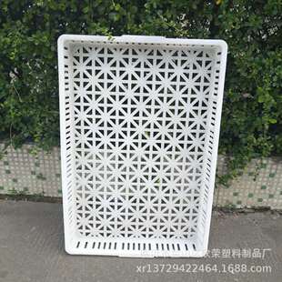 Plastic single freezer freezing basket drying tray aquatic seafood cold storage quick-frozen shallow basket food grade white tray