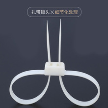 厂家直销 12*700自锁式尼龙双头双扣扎带捆绑束线带