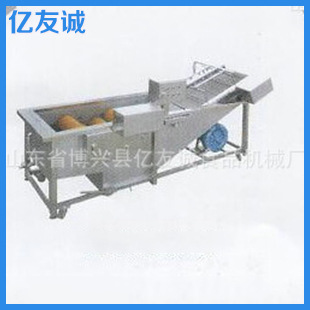 专业生产果蔬菜清洗机翻浪清洗机