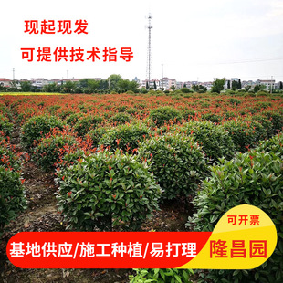 �����t�~ʯ��� ����ֱ�� ��Ҏ����x ���̾G�� ����ă�