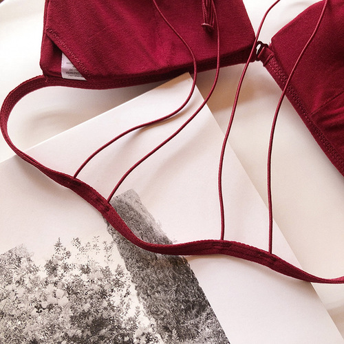 French European and American back bra front button bra set triangle cup young ladies student bra without steel rims sexy foreign trade