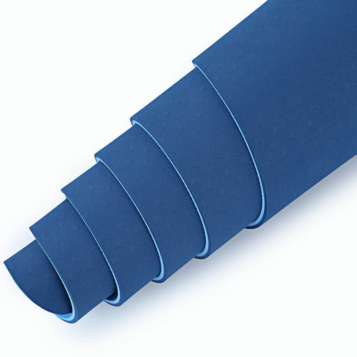 Overstock Non-defective TPE Single or Double Color Yoga Mat with Position Lines 6mm Thick Exercise Fitness Mat Non-slip