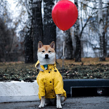 ins����Ʒ��L����Ӣ���͹żӺ񹷹����� ��������_�h��