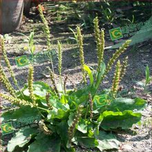 l܇ǰݷN iݷN șķN ܇݆ ƺN