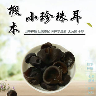 ���l�L��ɽС���ѿ�|����ľ��ѿɢ�b����������|��ľ������