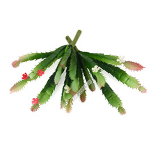 ����������� ���������� �������������z��΢���^diy�bپGֲ