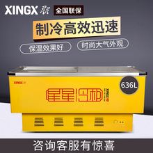 星星（XINGX）冷冻冰柜卧式冷柜 岛柜 商用冰柜市展示柜 SD-636BP