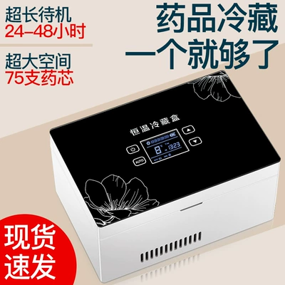 Portable Car Mini Refrigerator Constant — Soyuducular