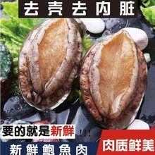 4~5g速冻漂烫净肉1kg鲍鱼肉200~250粒/袋鲜活冷冻酒店食材